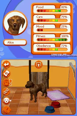 Image n° 3 - screenshots : My Dogs Paradise